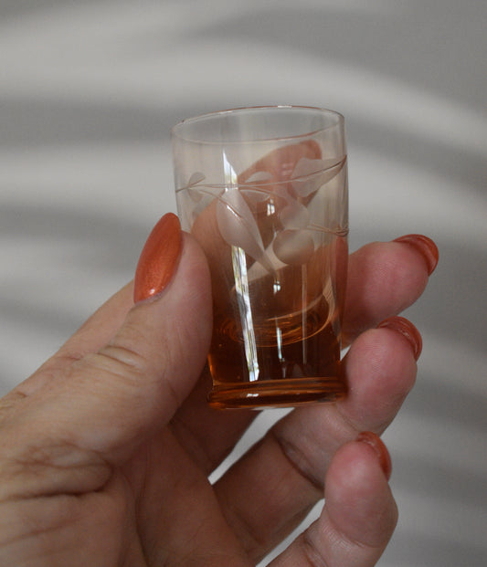 Vintage Czech colored shot glasses. Vintage Bohemian Etch shot glasses. Set of 5