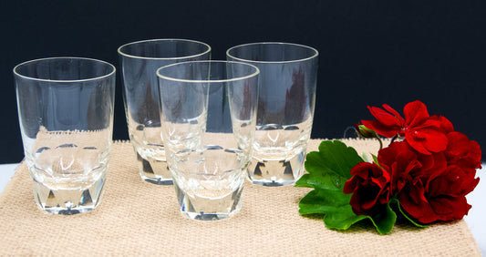 Small Crystal Octagonal Based Scotch Glasses