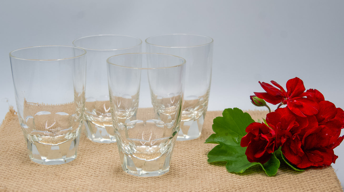 Small Crystal Octagonal Based Scotch Glasses