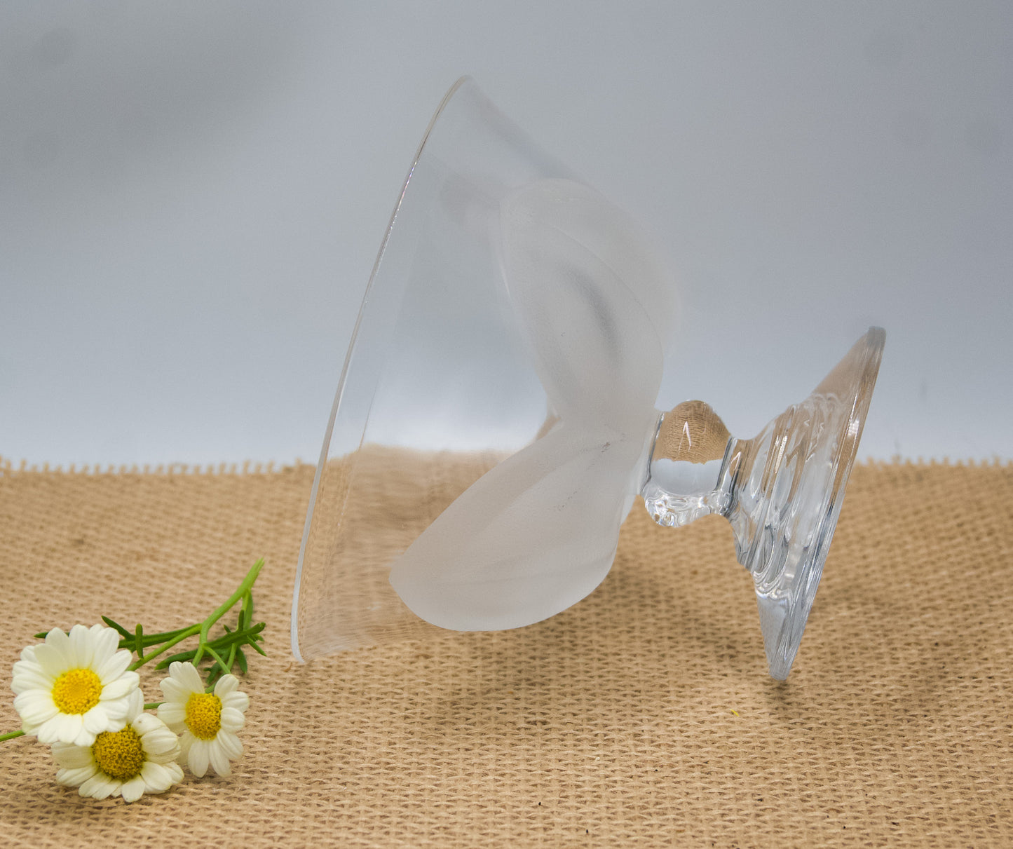 Crystal D'arques-Durand Florence Satin Frosted Petal Compote