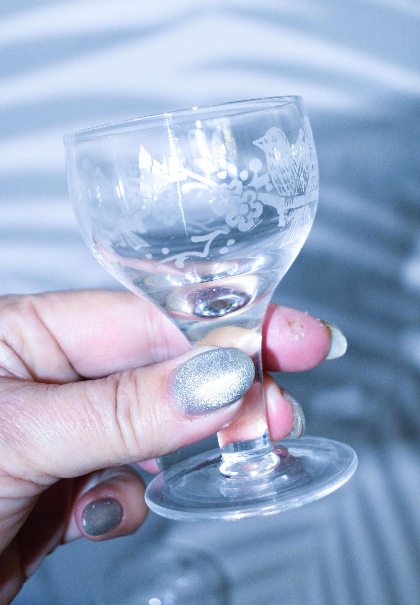Vintage Stuart Crystal - England - Liqueur glasses. Love Bird design. Set of 6