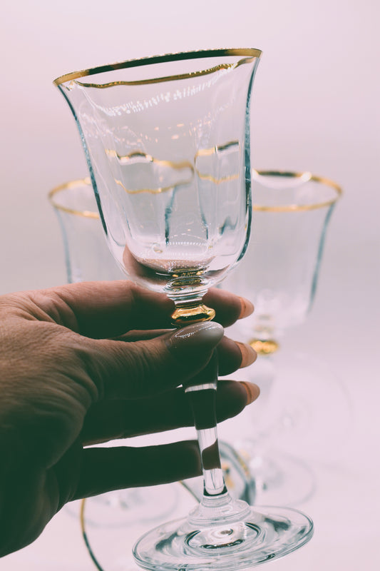 Paşabahçe Turkey Gold Rimmed Wine Glasses Set of 4 Gold Rim Glasses Optic Panel