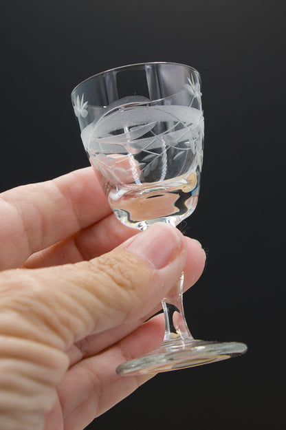 Beautiful Petite Etched Liqueur Glasses