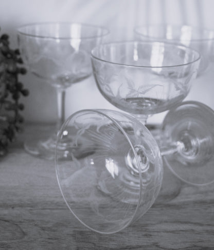 Vintage fern etched champagne coupes. Set of 4