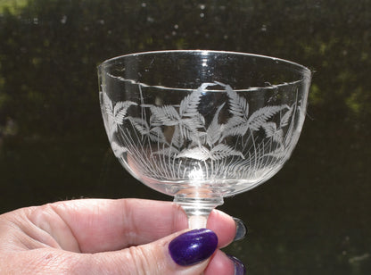 Vintage fern etched champagne coupes. Set of 4