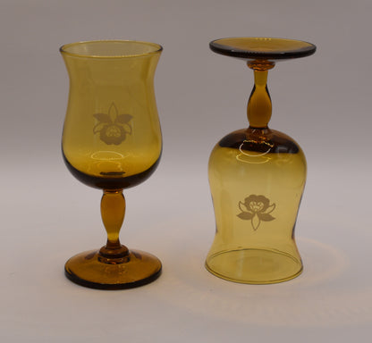 Amber wine goblets with embosed orchid design. Set of 2