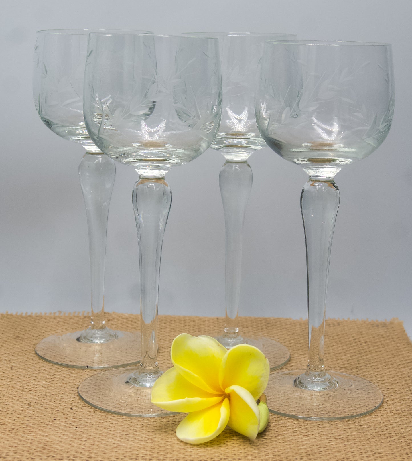 Stunning Etched Wine Glasses