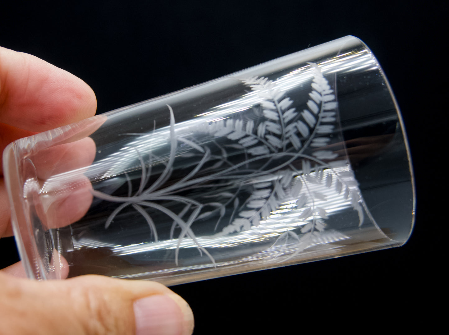 Very Delicate Vintage Etched Fern Leaf Glasses