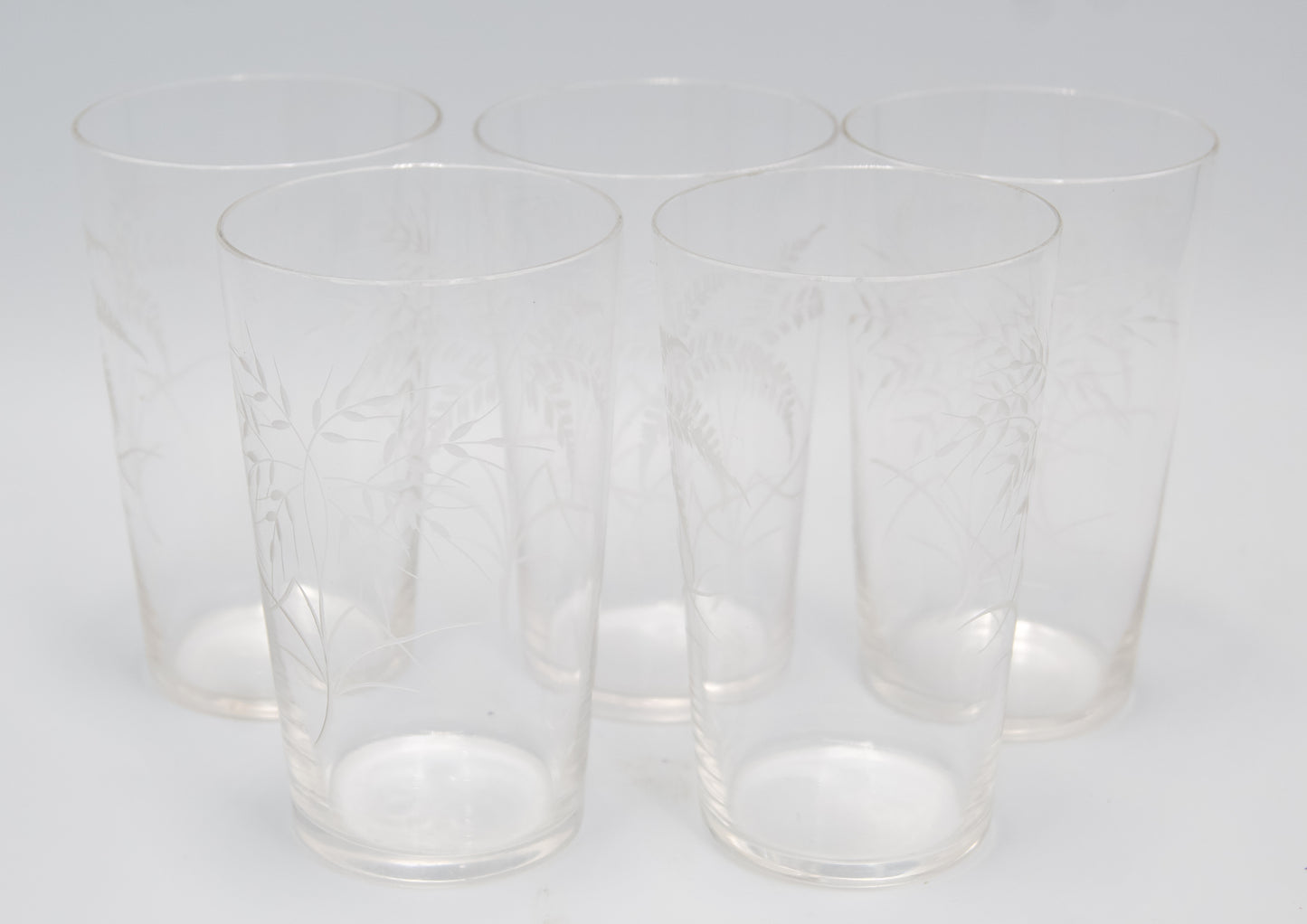 Very Delicate Vintage Etched Fern Leaf Glasses