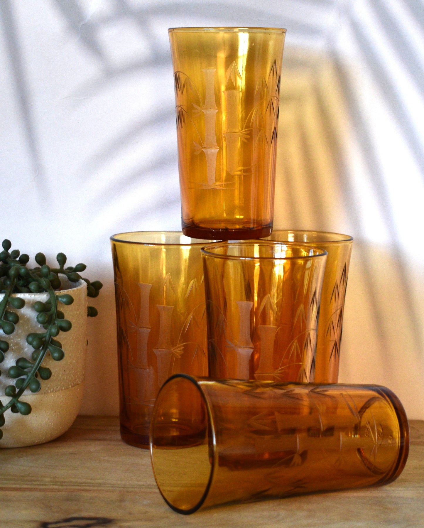 Amber tumblers with etched bamboo design. Set of 5