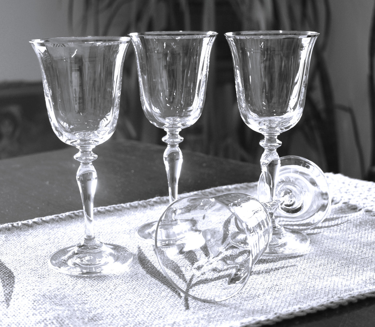 Paşabahçe Turkey Gold Rimmed Wine Glasses Set of 4 Gold Rim Glasses Optic Panel