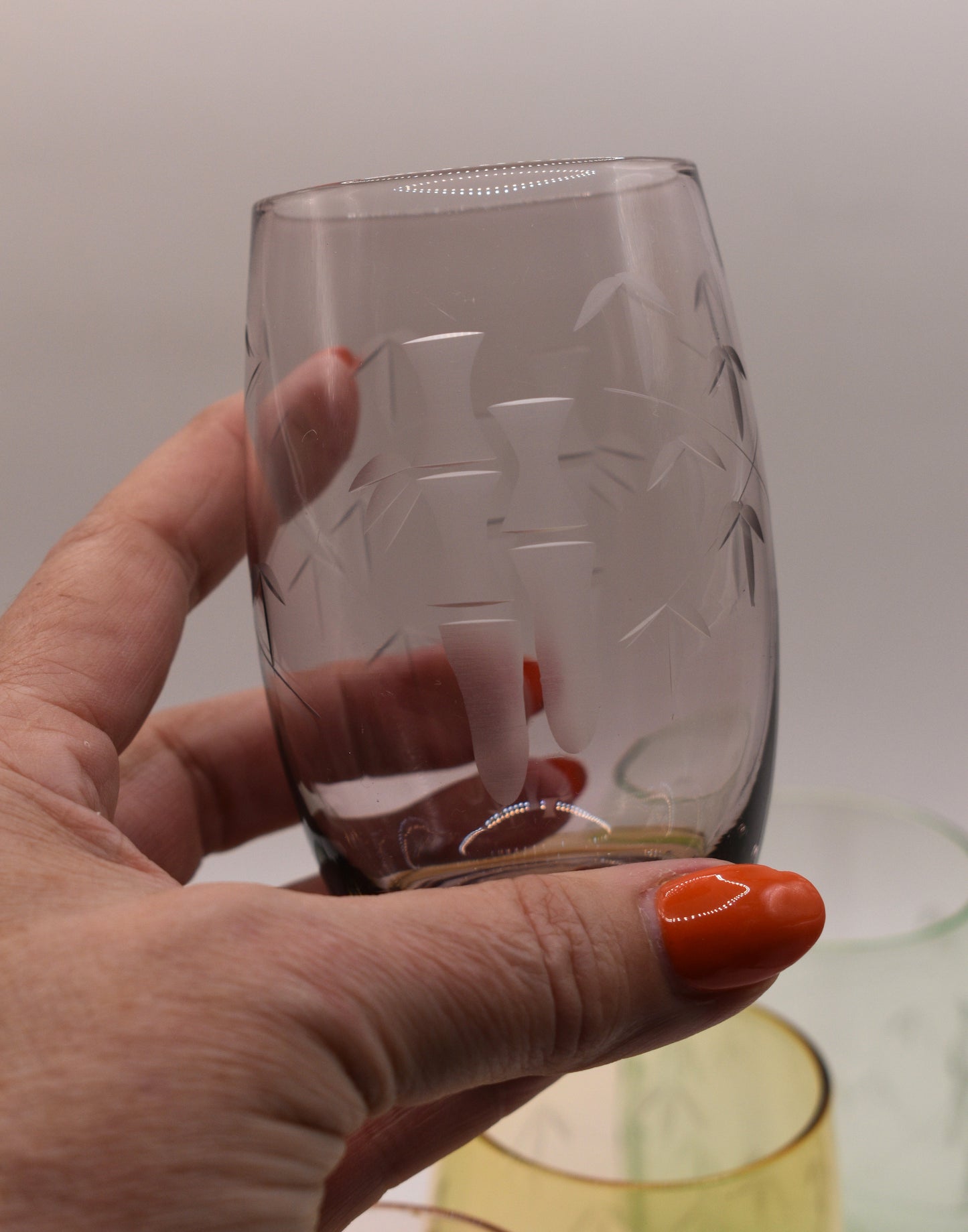Crown Crystal Australia. Harlequin Bamboo Etched tumblers. Set of 6