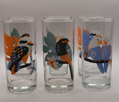 Vintage ARC France "Birds of Australia" Tumblers / Highball Glasses. Set of 6