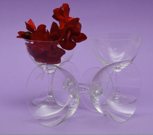 Vintage stemware. Cordial Glasses with Etched Swans. Set of 4