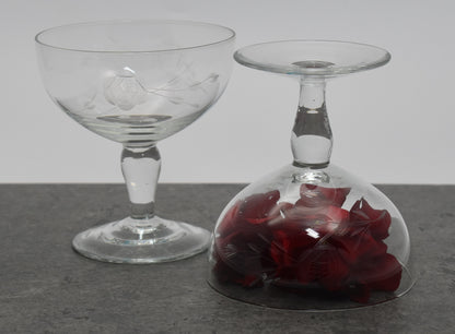 Short Vintage Rose Etched Champagne Coupé Glasses